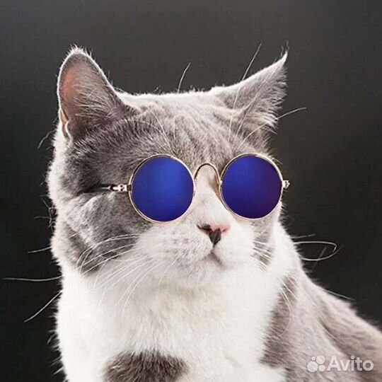 Очки и игрушки для кошек и собак. Новые, выбор