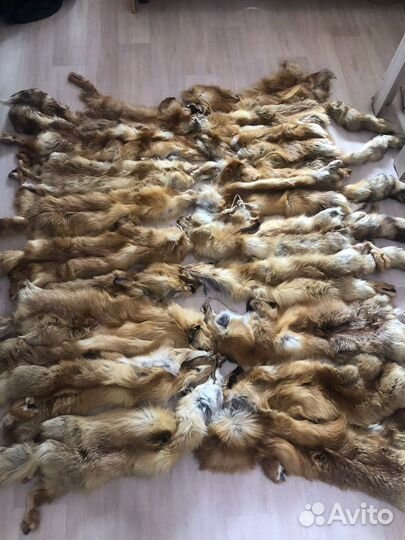 Шкури лисы выделаные