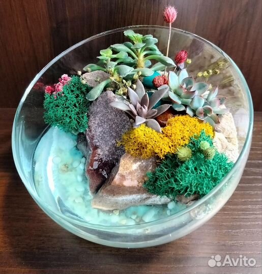 Флорариум, подарок, букет учителю, цветы