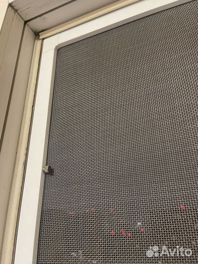 Сетка антикошка на окно