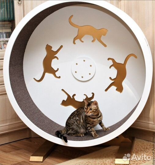 Беговой барабан, беговое колесо для кошек