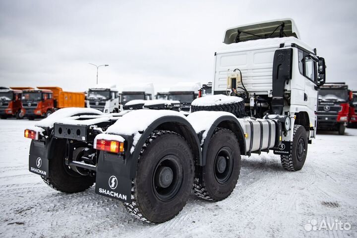 Shacman (Shaanxi) SX42584V385, 2023