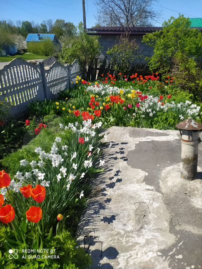 Дом 60 м² на участке 13,7 сот.