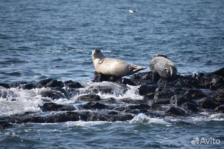 Морская прогулка на парусной яхте