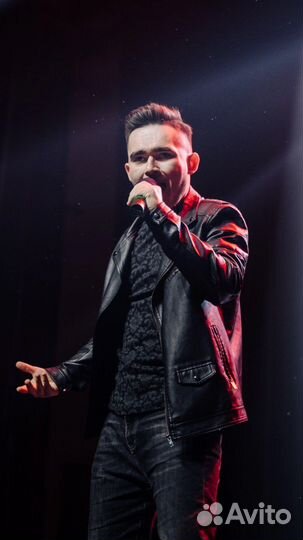 Певец и диджей