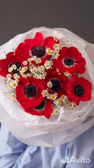 Букеты из ромашек цветы с доставкой