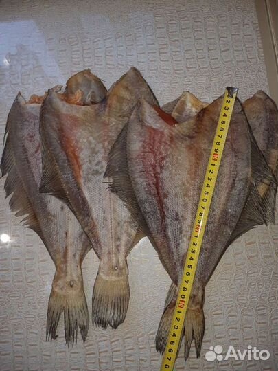Рыба Ерш вяленый,филе вяленного ерша