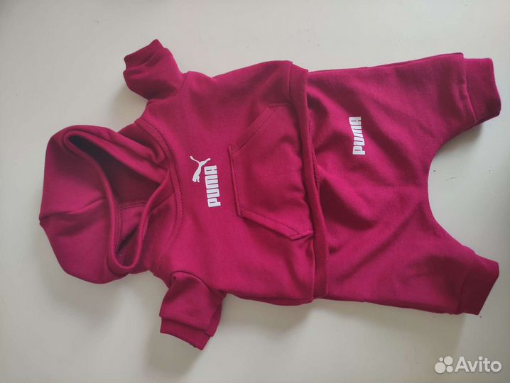 Одежда для кота Басика, Лили