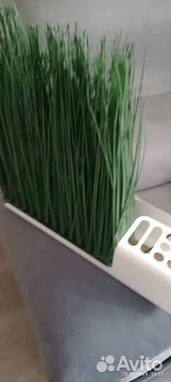 Икея. Декор