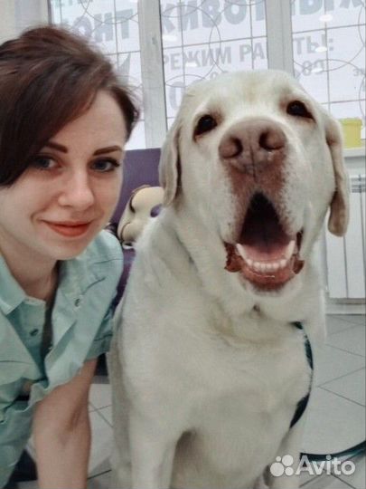 Ветеринарный врач на дом (+узи, тонометрия)