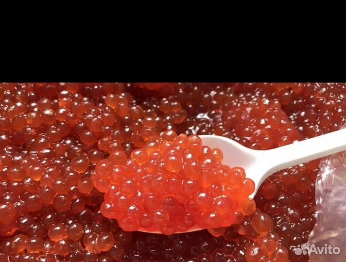 Красная икра кета