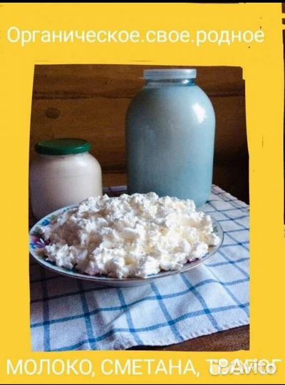 Домашние куриные яйца