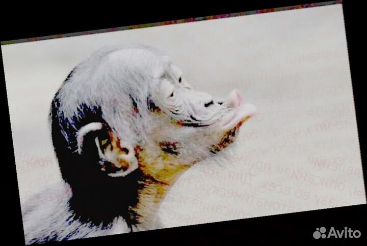 Работа Требуется Мойщик Еженед.выплаты Беспл.Питан