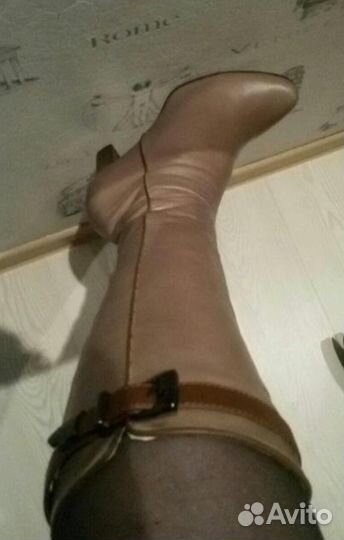 Сапоги осень