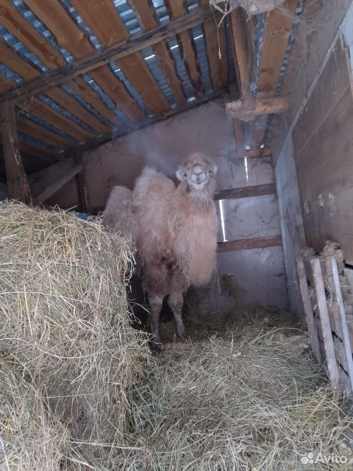 1.GMnYLra4tCDumTYt5F5bzsWPtiZmjzY27oK2ImiHvCpu.G1e_qfLOtHKrkQyGwvBHjDHkA-Qsyoa3yM1ABnjmey4