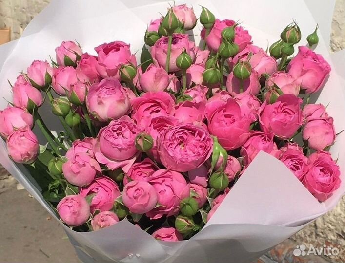 101 Роза 51 Роза 25 Роза