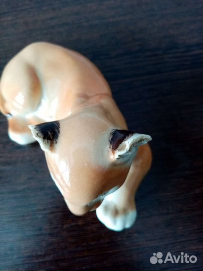 Львенок СССР