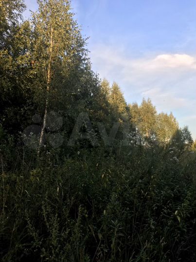 Участок 25 сот. (ИЖС)