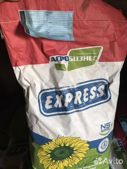 Семена подсолнечника