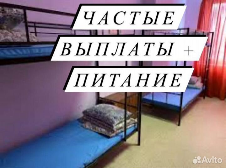 Охранник с проживанием и питанием