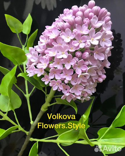 Сирень из полимерной глины