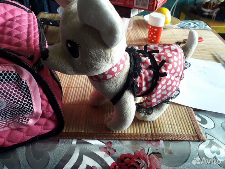 Собачка чичи лав