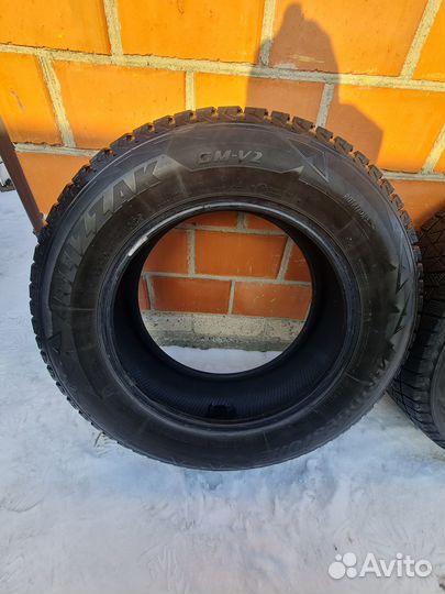 Bridgestone Blizzak DM-V2 225/65 R17