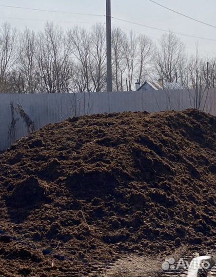 Чернозем, Перегной конский