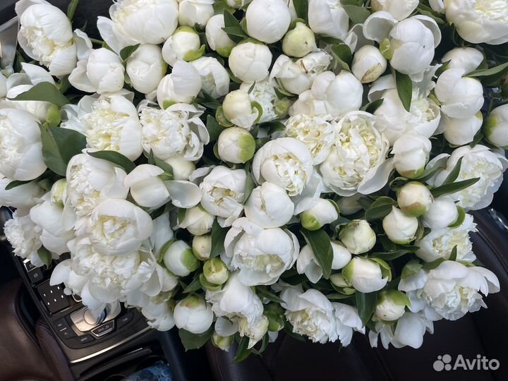 Пионы на срез