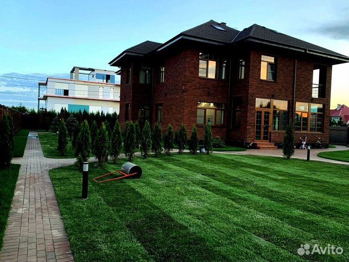 Рулонный газон