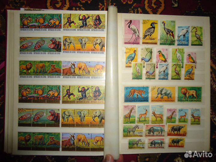 Марки фауна альбом марки Бурундии и Гвинеи
