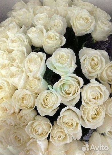 Розы Высокие 150см 160см 170см 180см 190см 2м