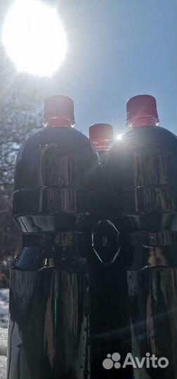 Сироп бузины + консультация врача