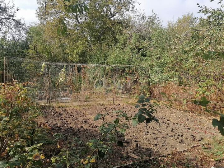 Участок 6 сот. (СНТ, ДНП)