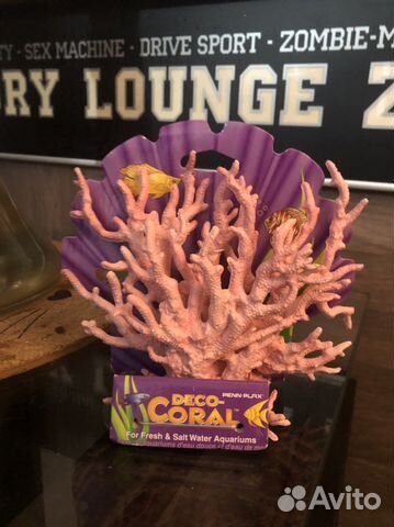 Кораллы для аквариума