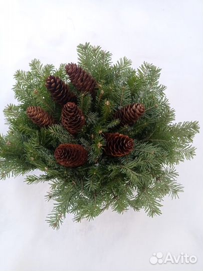 Новогодняя композиция из веток пихты и шишек 285/8