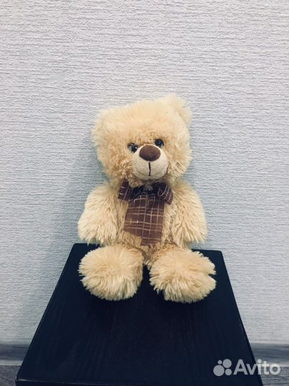 Плюшевый медведь