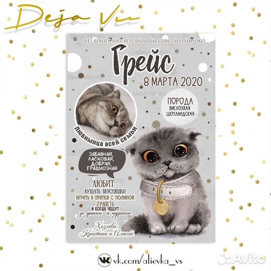 Метрика для питомца