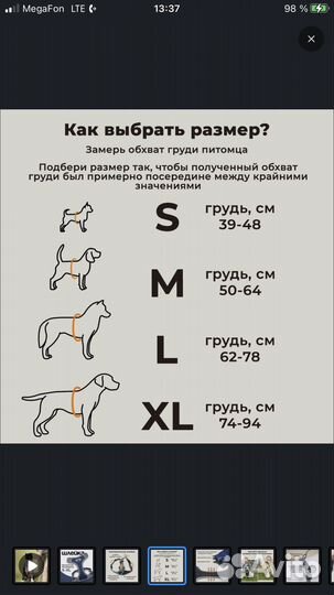 Шлейка для собаки