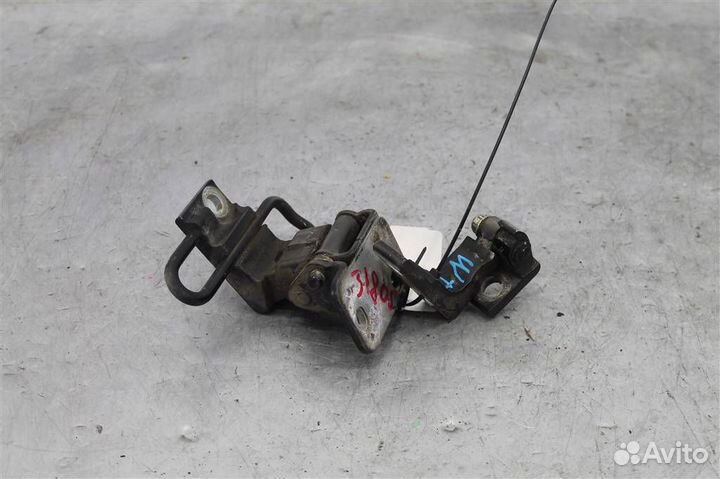 Петли двери передней правой Volkswagen Touareg