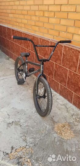 Bmx wtp reason