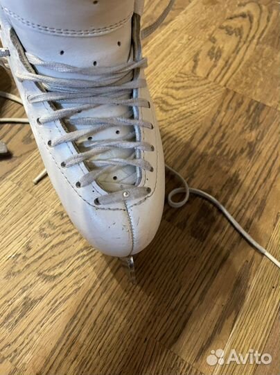 Фигурные коньки edea chorus 230