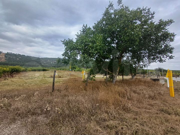 Участок 1,56 га (СНТ, ДНП)