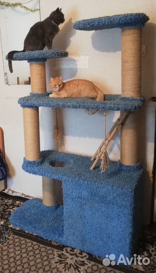 Домик для кошек