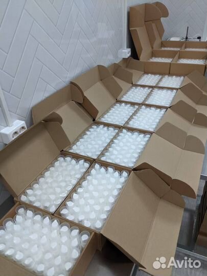 Косметика оптом