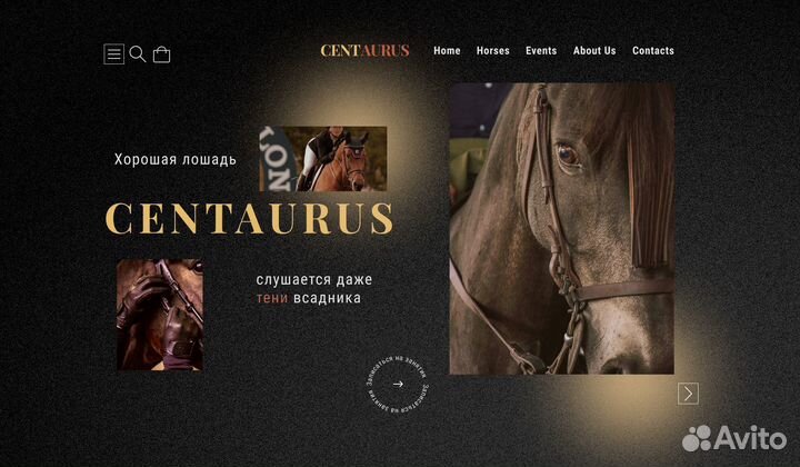 Графический дизайнер, Web Design