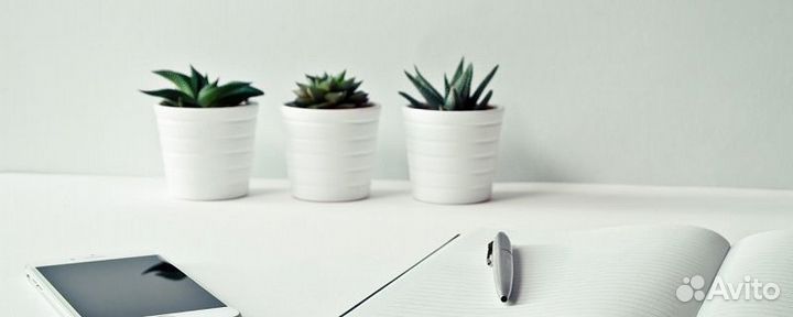 Готовая компания/фирма/ооо с оборотом