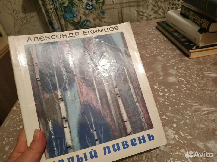 Екимцев А. Белый ливень. Ставрополь. 1979