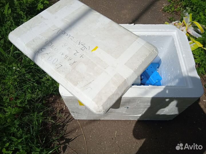 Термоконтейнер из пенопласта