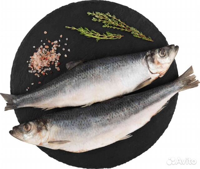 Сельдь не разделанная Сахалин 300+ свежеморож 20кг